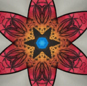 Meet your Posher, Kacey